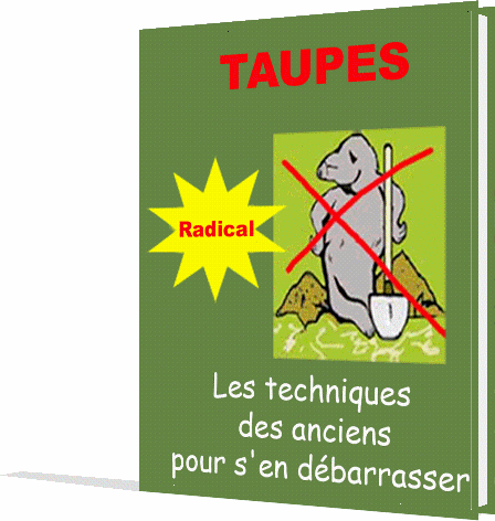 Chassez les taupes