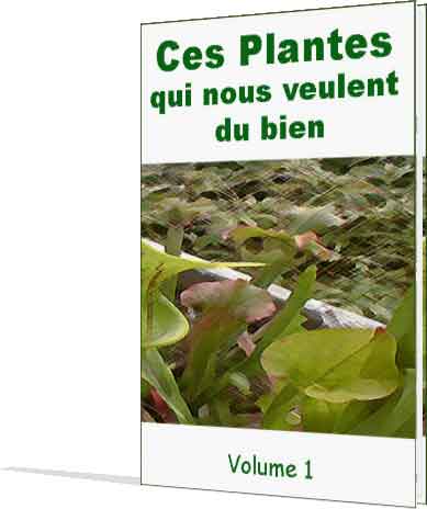 Les plantes volume 1